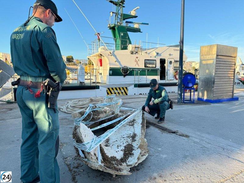 Impresionante descubrimiento de restos óseos de ballena en el Puerto de La Vila Joiosa (Alicante)