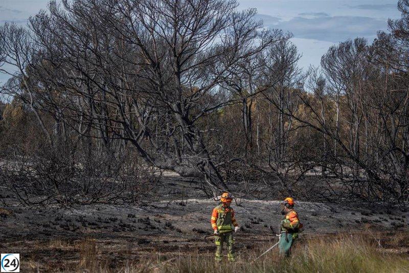 Catalá asegura que el incendio en El Saler fue premeditado: 