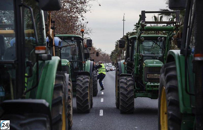 Agricultores valencianos retoman protestas ante falta de acciones concretas: 