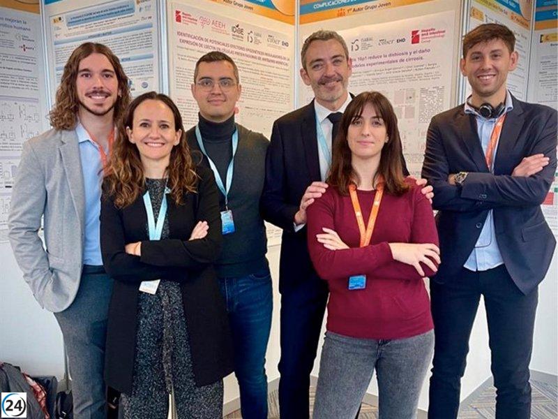 Investigadores de la UMH descubren nuevos avances en la respuesta inmunológica del hígado en casos de cirrosis