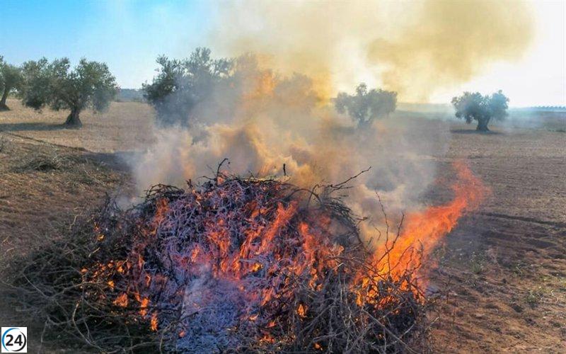 Se permitirán quemas en parcelas a más de 500 metros de bosques, de forma excepcional.