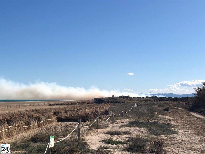 El Ayuntamiento de València solicita seis años de cárcel para el acusado de los incendios en El Saler.