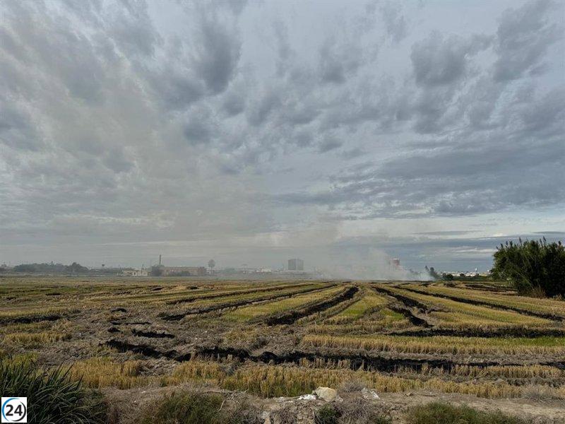 Compromís critica la gestión del Consell en la quema de la paja de arroz y solicita nuevas soluciones eco-amigables.