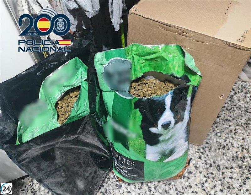 Operativo policial desarticula punto de narcotráfico en El Cabanyal.
