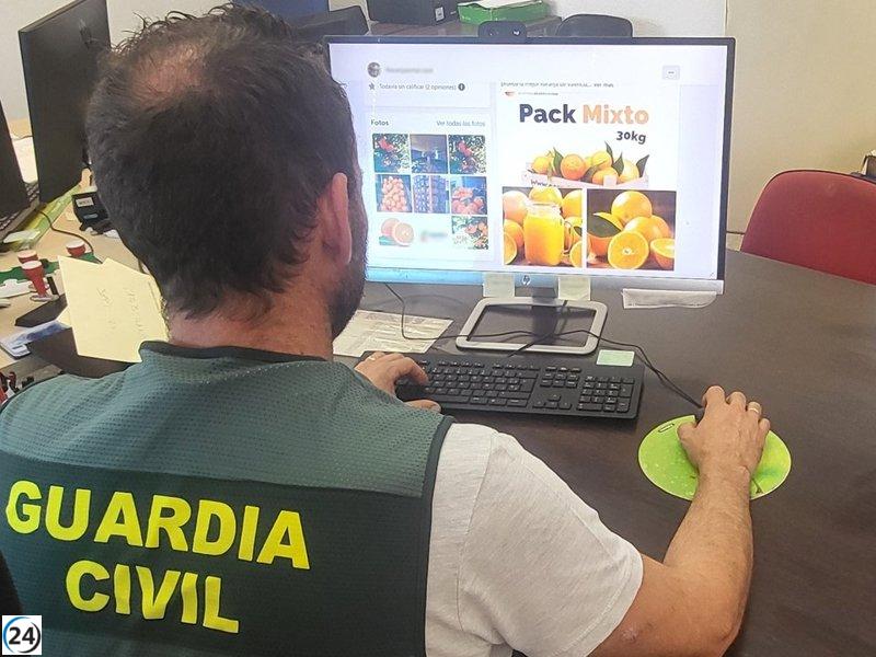 Empresario frutícola de Gandía bajo investigación por presunta estafa a agricultores valencianos y alicantinos.