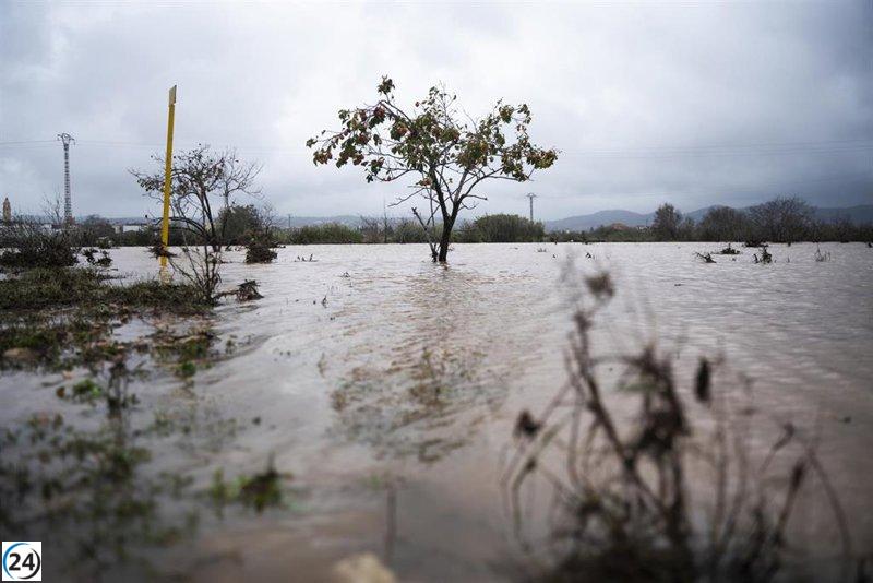 Tragedia en Valencia: 51 fallecidos por la DANA.
