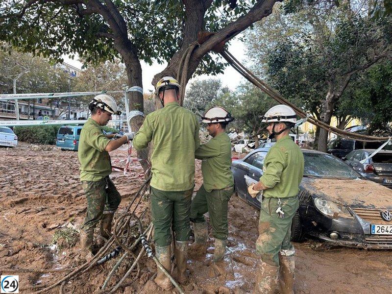 Iberdrola destina 100 millones para fortalecer la infraestructura eléctrica de Valencia ante desastres naturales.