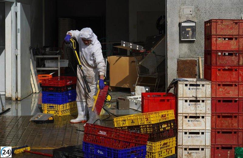 Gobierno asigna 650 millones para financiar empresas en áreas golpeadas por la dana.