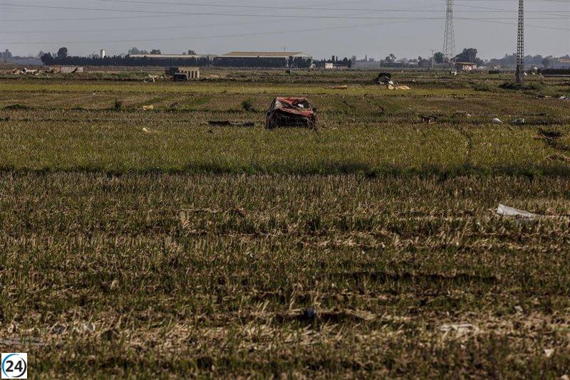 Gobierno distribuye 49,6 millones de euros a más de 6.000 agricultores por daños de la dana.