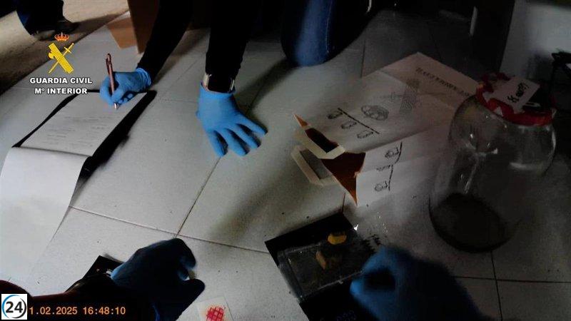 Desarticulan en Valencia red de tráfico de drogas operando desde Grow Shops.