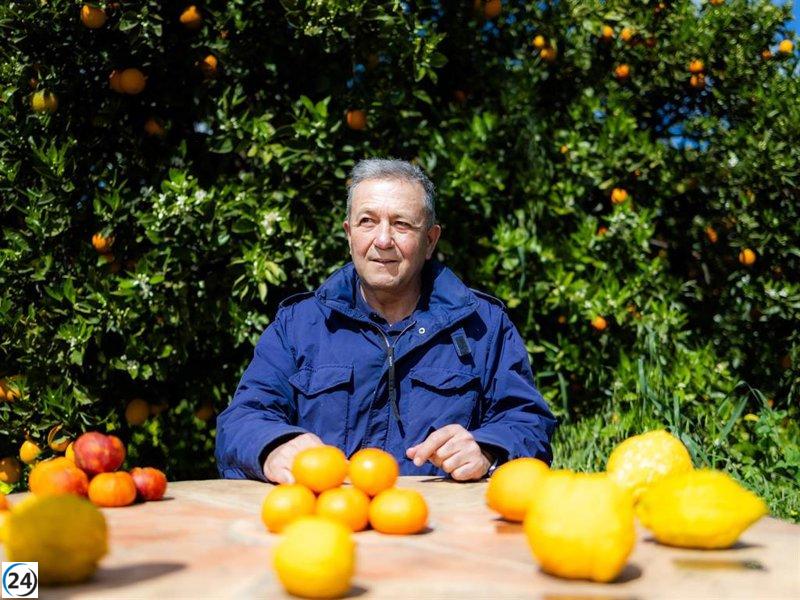 Todoli inaugura su museo de cítricos: 