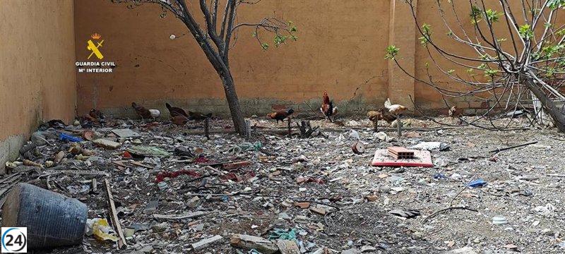 Arrestan a un individuo en Massamagrell tras la captura de un presunto narcotraficante.