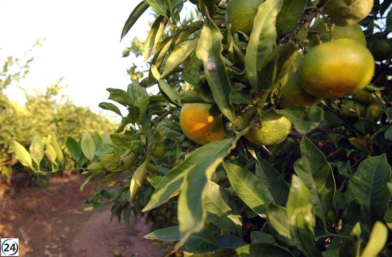 Gobierno destina 6,2 millones para mejorar abastecimiento y reducir desperdicio de agua en pequeños municipios.