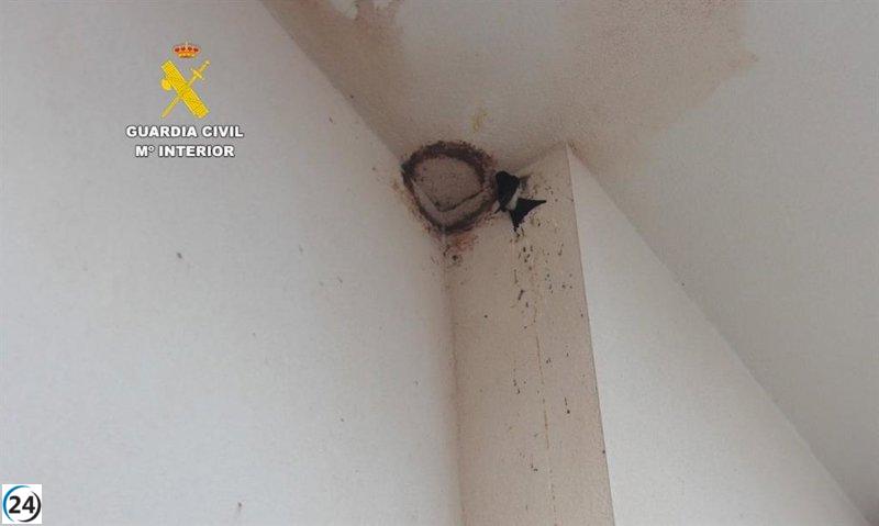 Indagan a dos sospechosos por arrasar nido de ave en Xilxes.