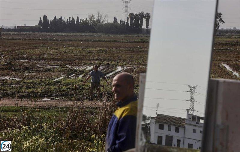 El Tribunal Constitucional acepta el recurso sobre la reforma del Consell en la Ley de la Huerta de València.