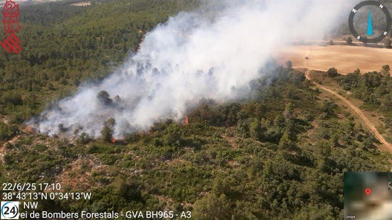 Incendio forestal desatado en Bocairent, cerca de la Sierra Mariola.