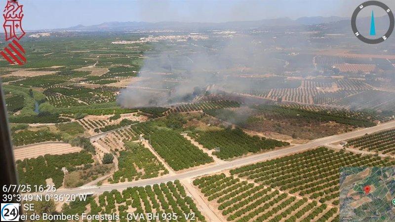Incendios forestales en Cheste y Antella ya controlados tras intervención rápida.