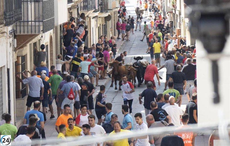 Un hombre de 47 años sufre lesiones por asta de toro en los 'bous cerrils' de Pedreguer, Alicante.