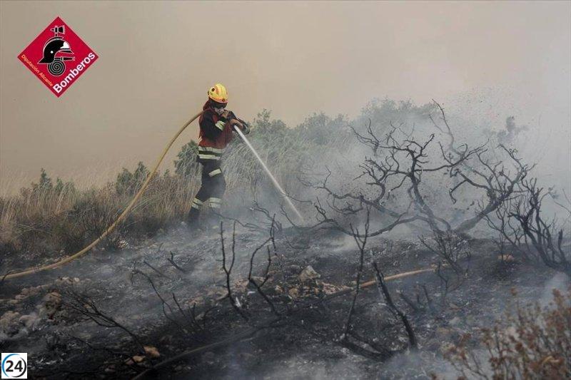 Ocho aeronaves se unirán esta mañana a la lucha contra el incendio en Ibi.