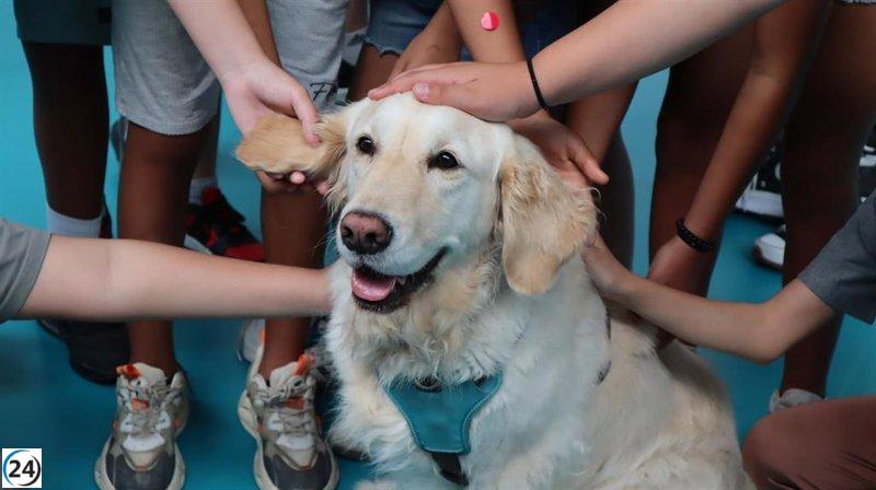 Perros de terapia apoyan a más de mil niños afectados por la dana.