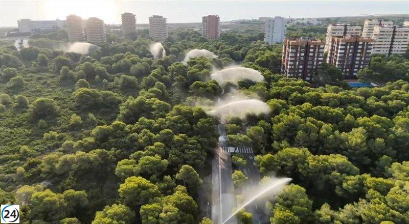 València despliega cañones de agua en Devesa por alta amenaza de incendios debido a la ola de calor.