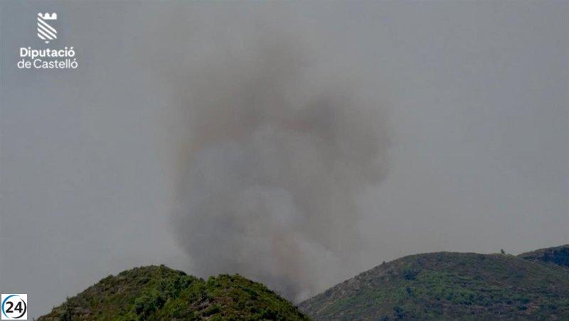 Emergencias activa el nivel 1 del PEIF por incendios forestales en Artana y Utiel.