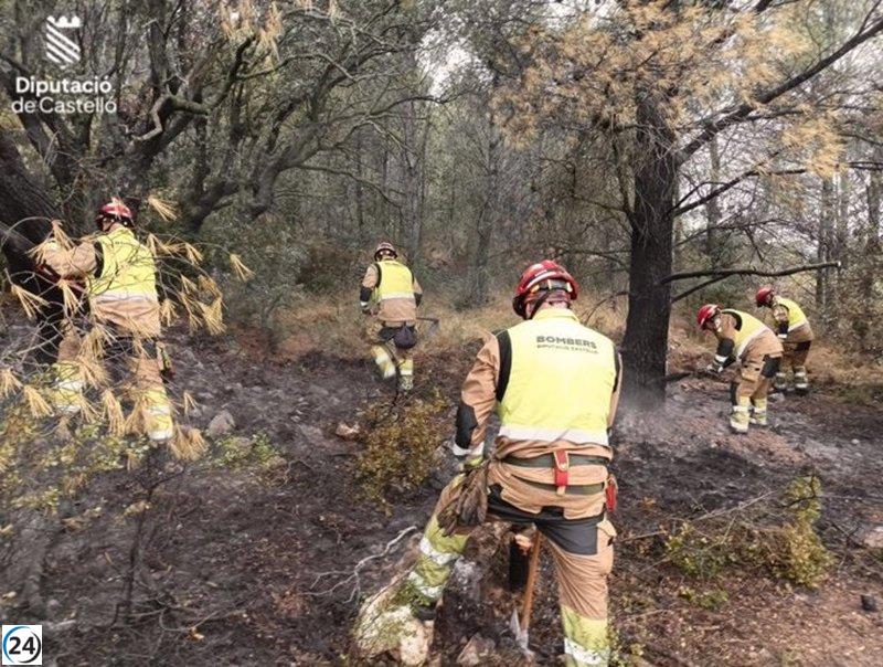 Bomberos combaten un incendio en el monte Espino y atienden múltiples focos de humo en Valencia.