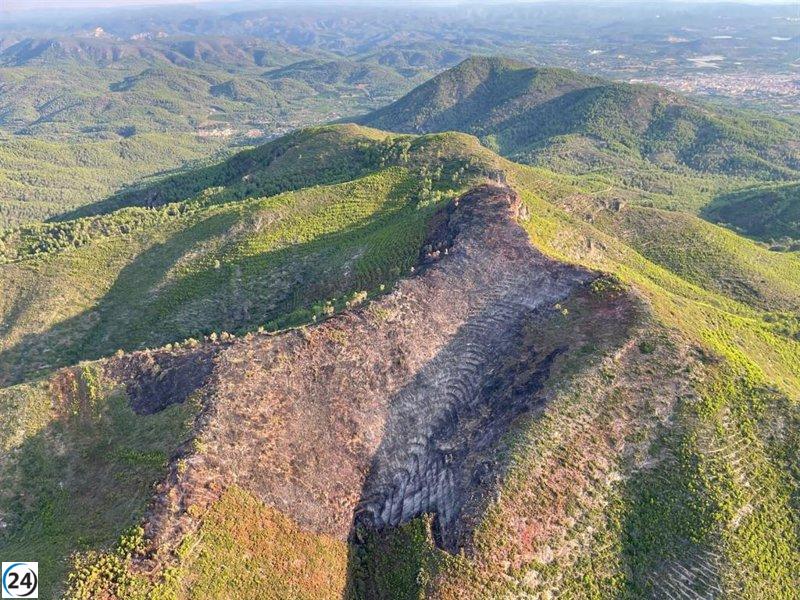 Apagado el fuego en los bosques de Artana, Castellón.