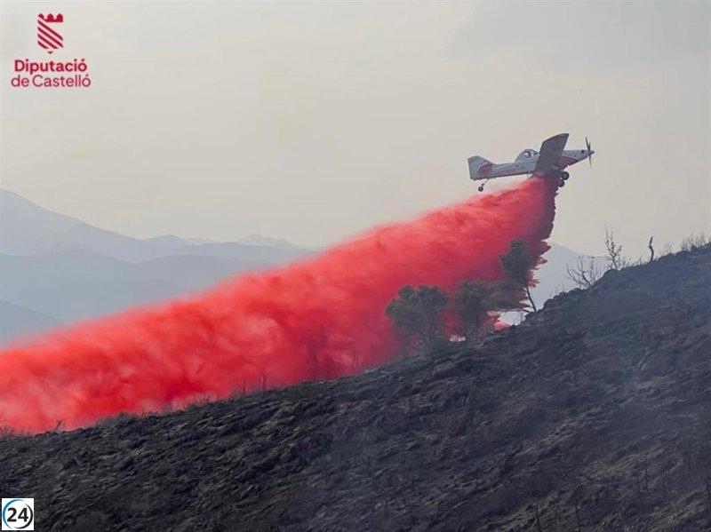 Gobierno declara emergencia en la Comunitat Valenciana por 15 incendios forestales.