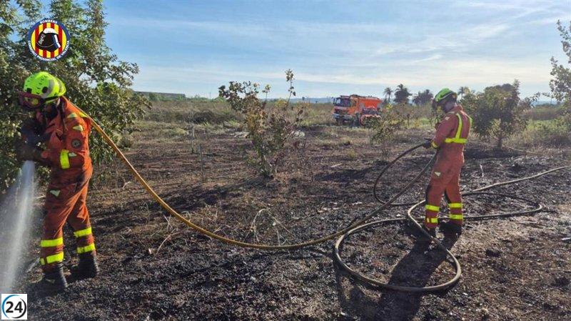 Incendio en Massalavés (Valencia) controlado, se reanuda el servicio en la L1 de Metrovalencia.