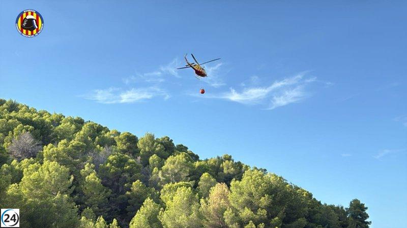 Emergencias activa alerta nivel 1 por incendio forestal en Oliva, Valencia.