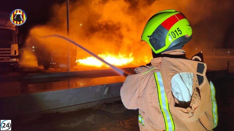 Incendio devasta una plantación de cítricos en Carlet.