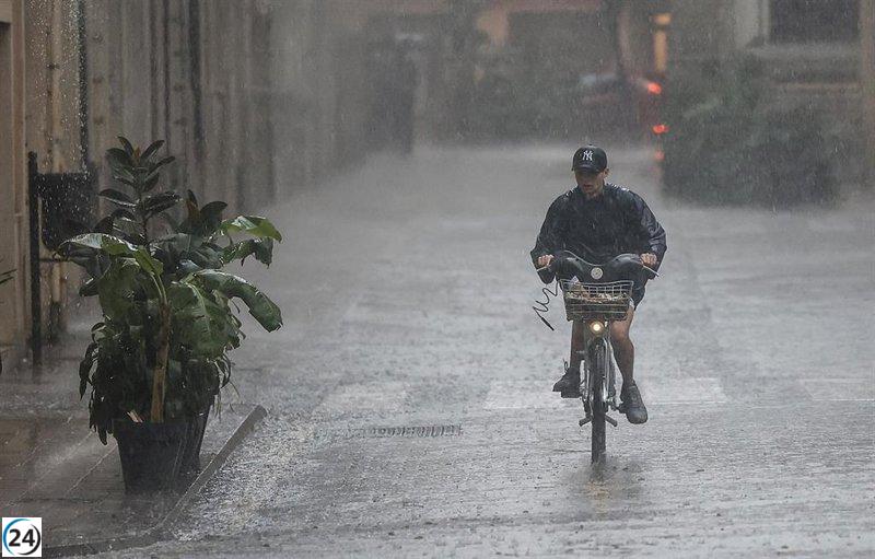 Castelló cierra el Pinar del Grao y cancela eventos al exterior por riesgo de lluvias.