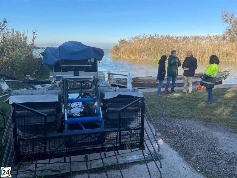 Valencia limpia 140 m³ de basura en l'Albufera mediante plan de empleo tras la dana.