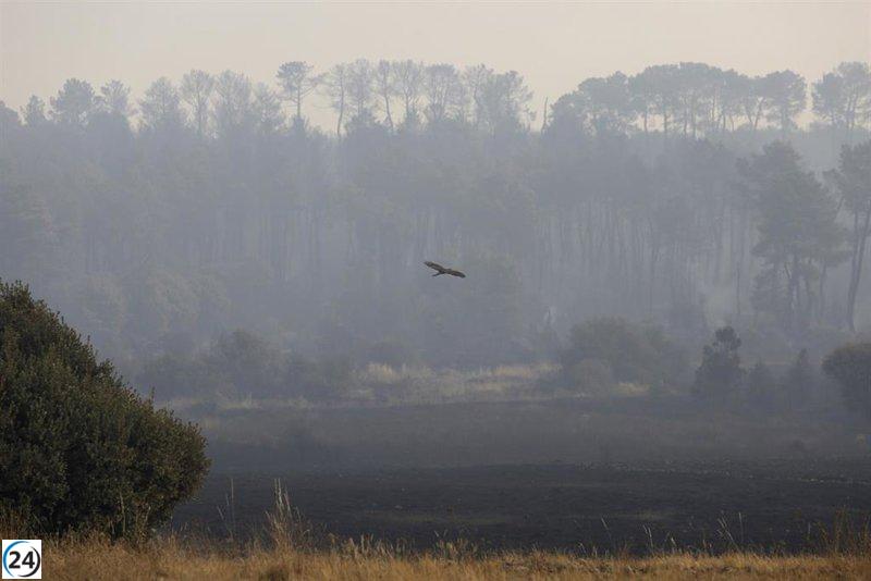 La combinación de condiciones climáticas extremas y vegetación inflamable desató incendios sin precedentes en España en 2025.