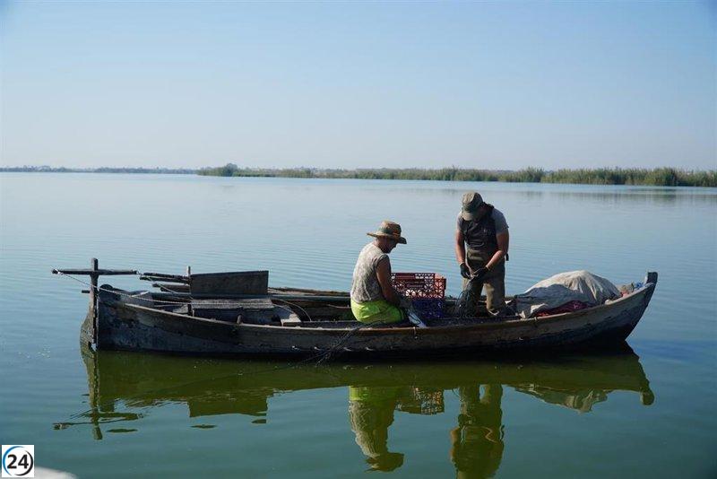 Estudio revela altos niveles de densidad y biomasa de peces en l'Albufera.