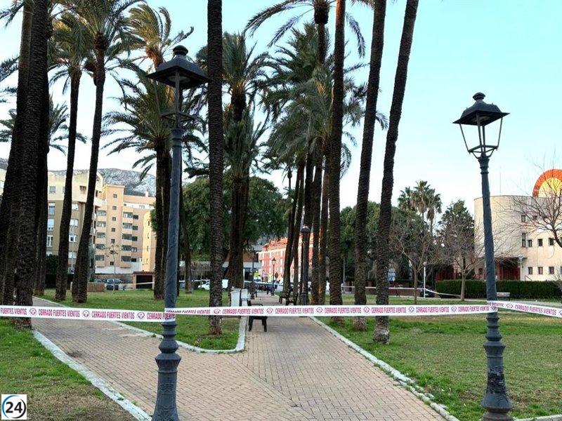 Alicante cierra parques y jardines por alertas de fuertes vientos.