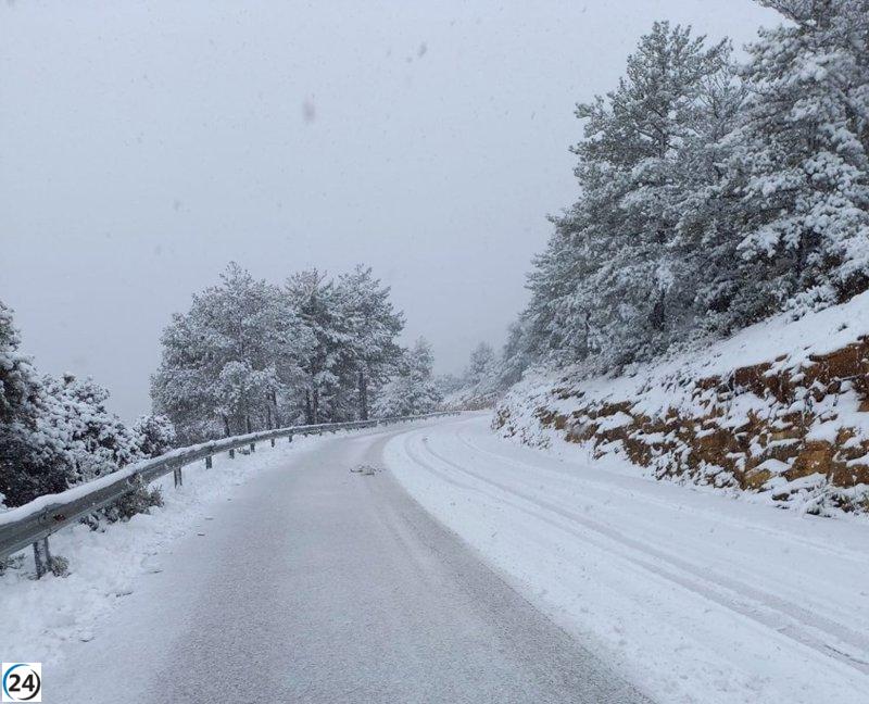 Temporal de viento y nieve causa más de 60 incidentes por caídas de árboles y escombros en la Comunitat Valenciana.