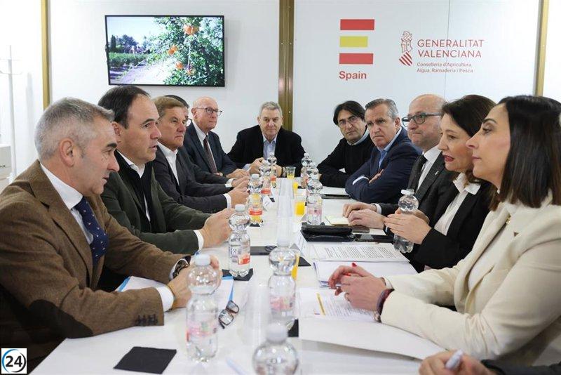 Llorca propone unión con Andalucía y Murcia para proteger la agricultura de Europa de la competencia desleal.