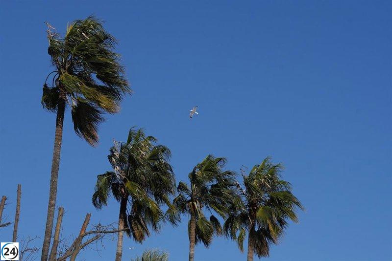 Emergencias alerta sobre fuertes vientos de hasta 120 km/h para el fin de semana.
