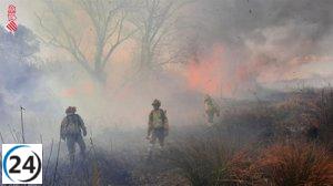 Incendio cerca del río Magro en l'Alcúdia provoca activación de situación 1 del PEIF.