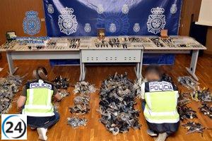 Incautan 3.560 relojes falsos y desmantelan punto de venta en Guardamar.