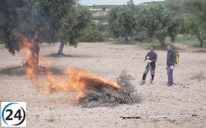 Agricultura permite quemar residuos agrícolas con restricciones en zonas forestales.