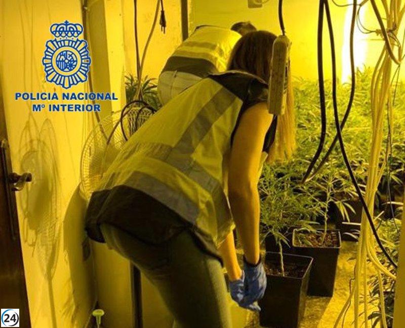 Ocho detenidos por la Policía tras desmantelar dos puntos de venta de droga en Valencia.