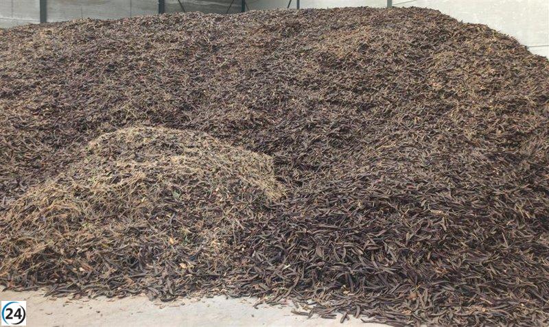 La Policía de la Generalitat rastrea más de 2.046 toneladas de productos hortofrutícolas.