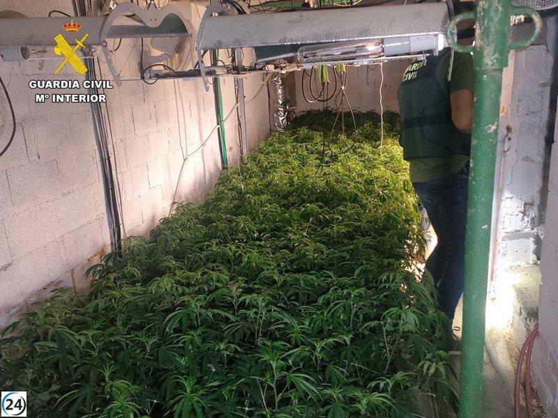 Dos plantaciones en urbanizaciones de lujo en Altea desmanteladas bajo vigilancia.