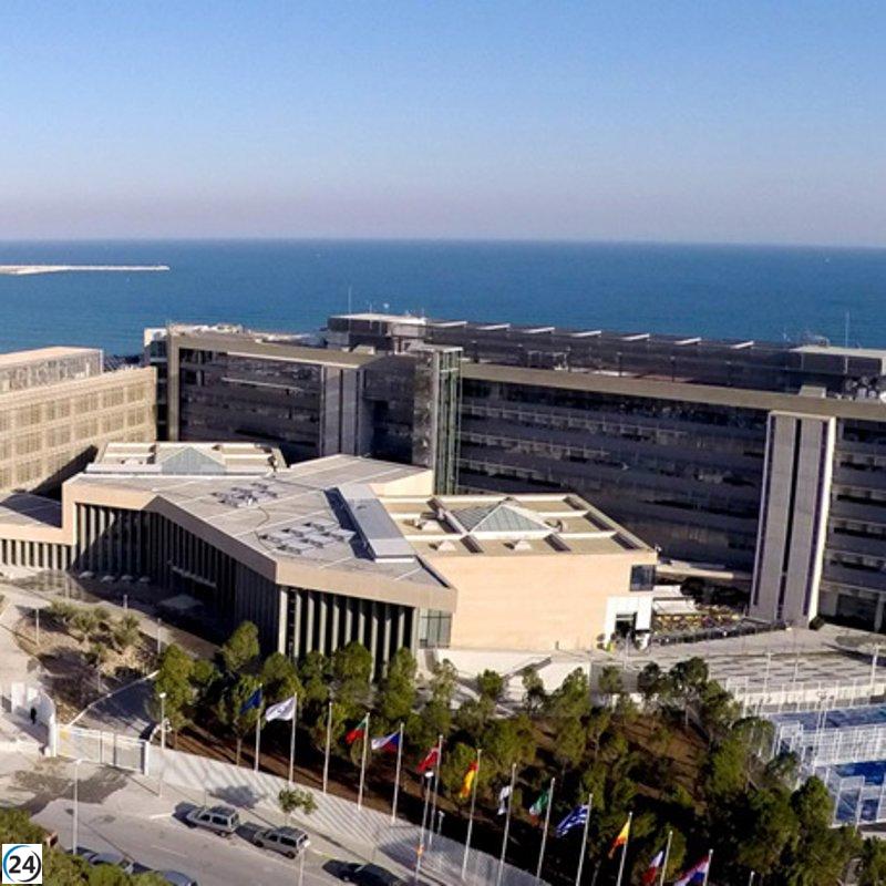 España lidera las compras intencionadas de falsificaciones en la UE, revela estudio de la EUIPO.