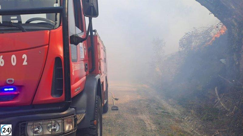 Controlado el incendio forestal en Mutxamel, junto al río Seco