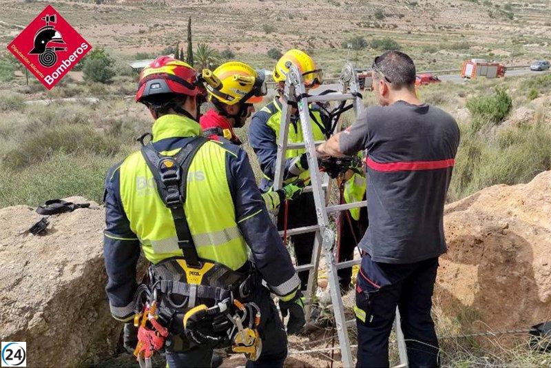 Perro rescatado de un pozo de 6 metros en la carretera Novelda-Monóvar.