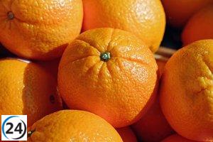 Greenmed y sindicatos de Almassora alcanzan un acuerdo en indemnizaciones tras prolongadas negociaciones